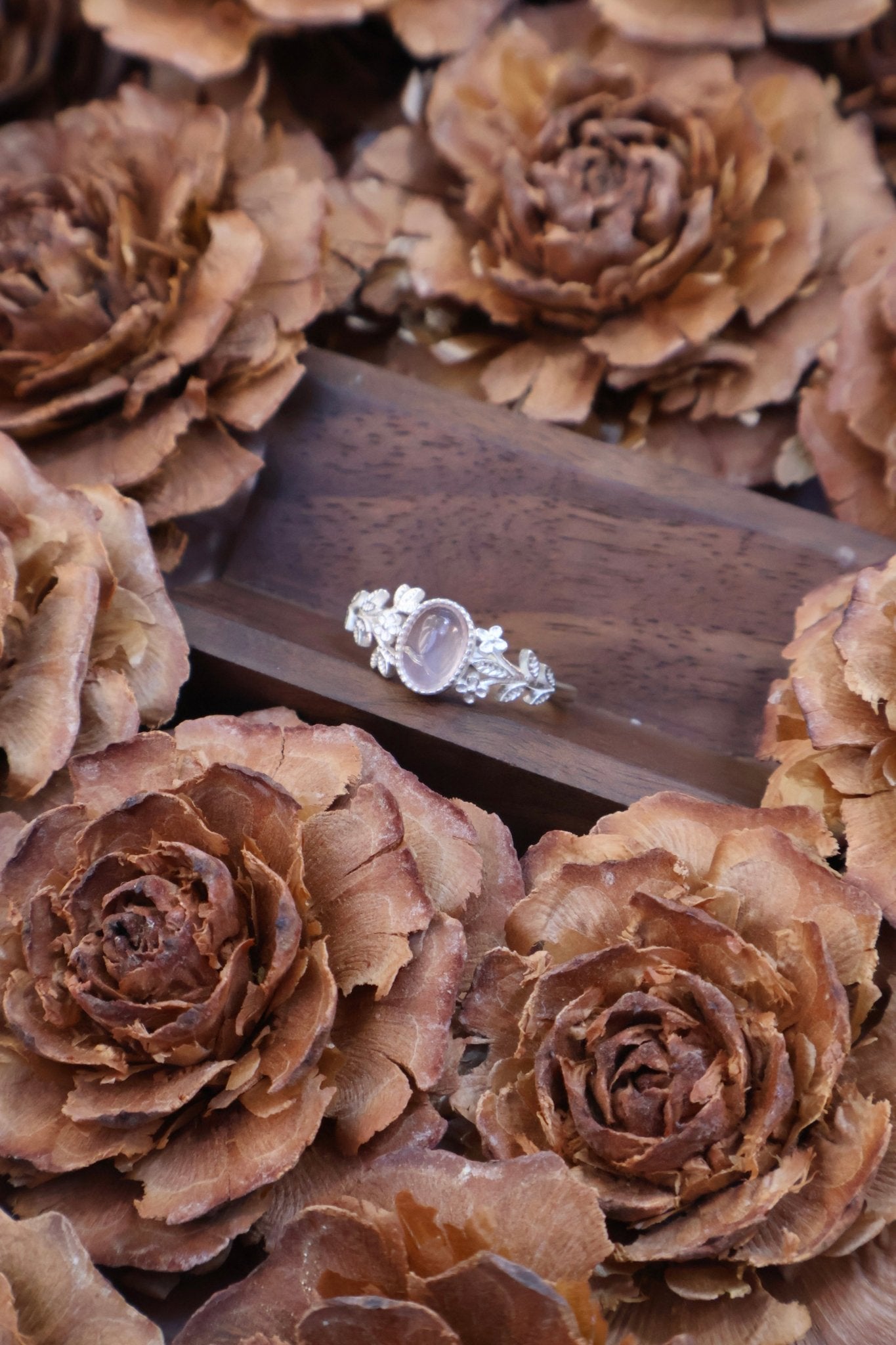 Sprout - JEN DESIGNRINGS