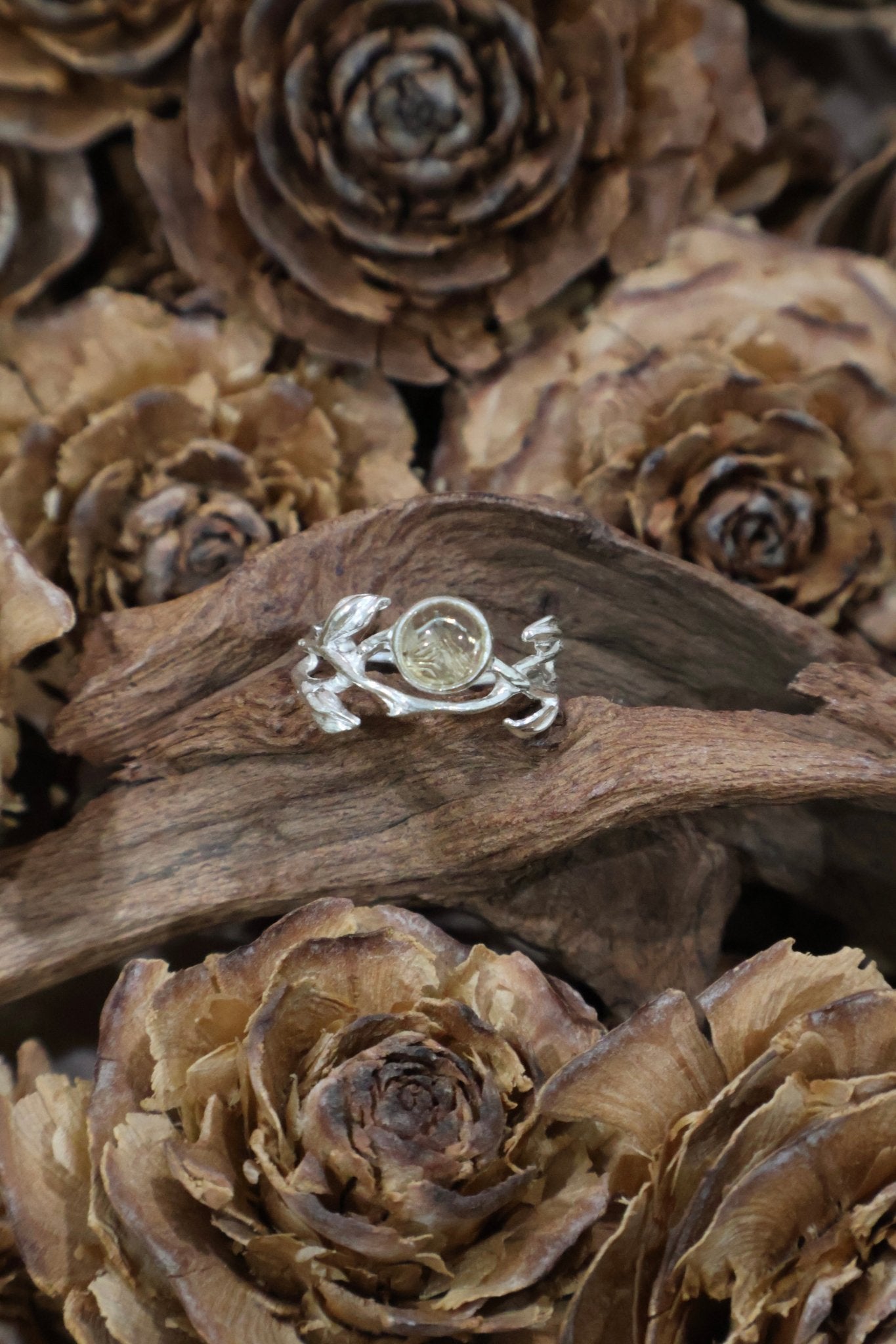 Thorn - JEN DESIGNRINGS