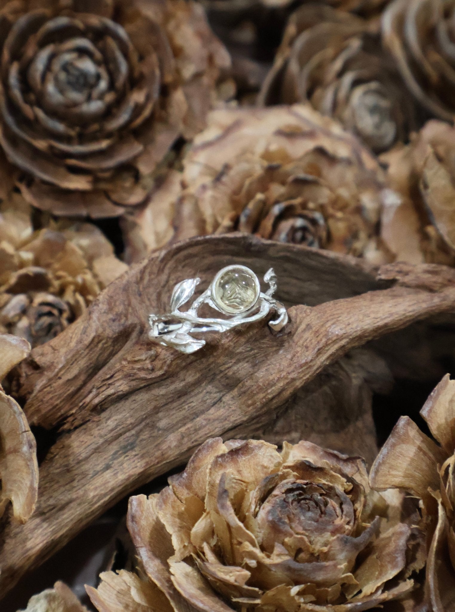 Thorn - JEN DESIGNRINGS